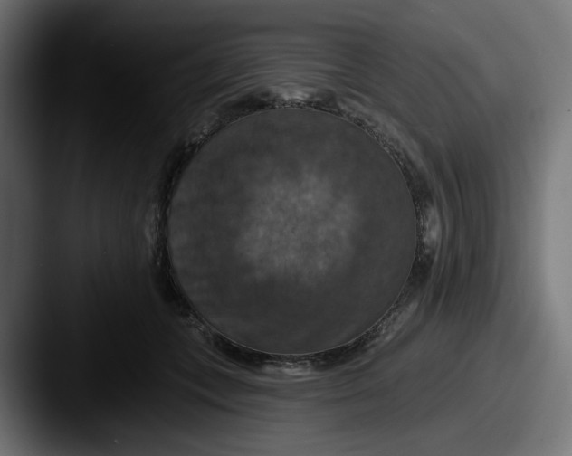 X0000087530559200705181032