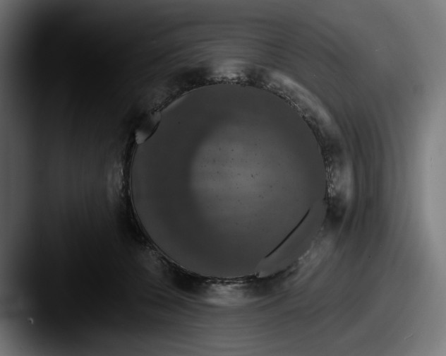 X0000087530560200705181032