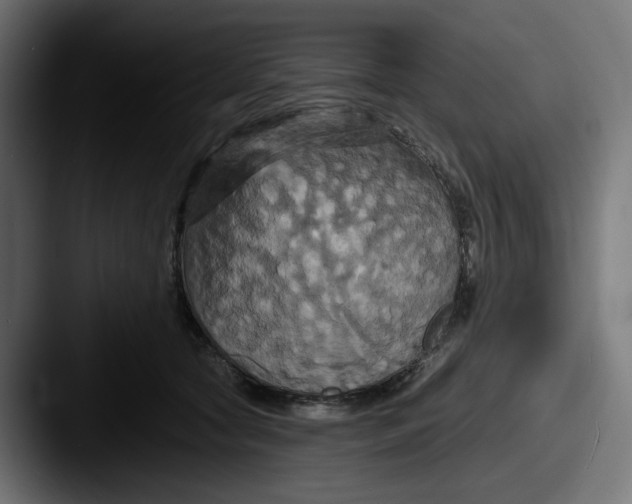 X0000087530561200705181032