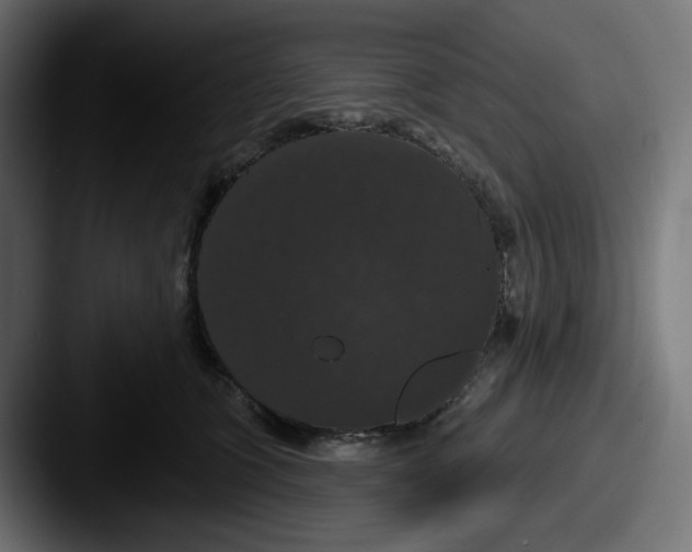 X0000087530563200705181032