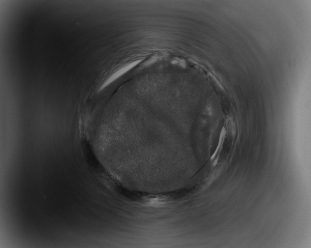 X0000087530564200705181032