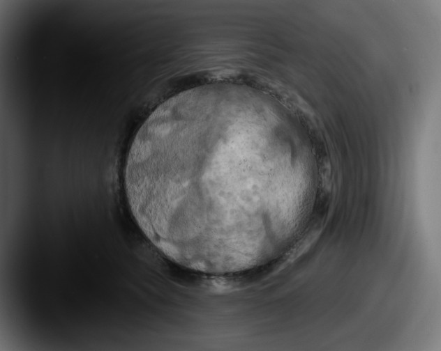 X0000087530565200705181032