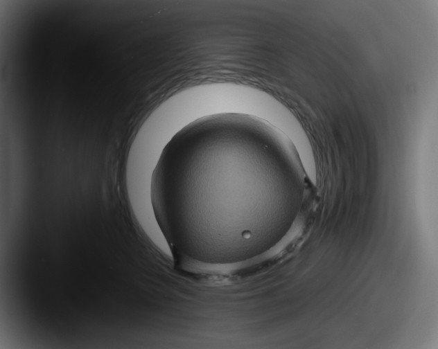 X0000087530566200705181032