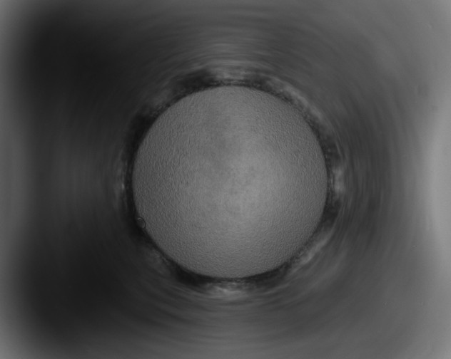 X0000087530567200705181032