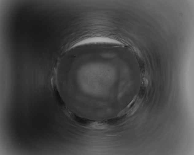 X0000087530568200705181032