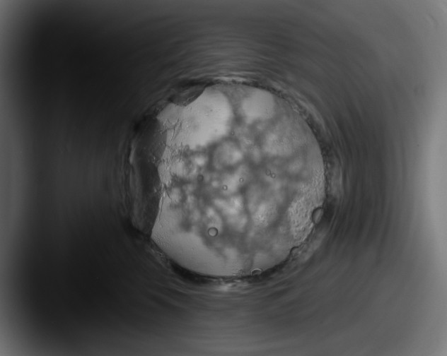 X0000087530569200705181032