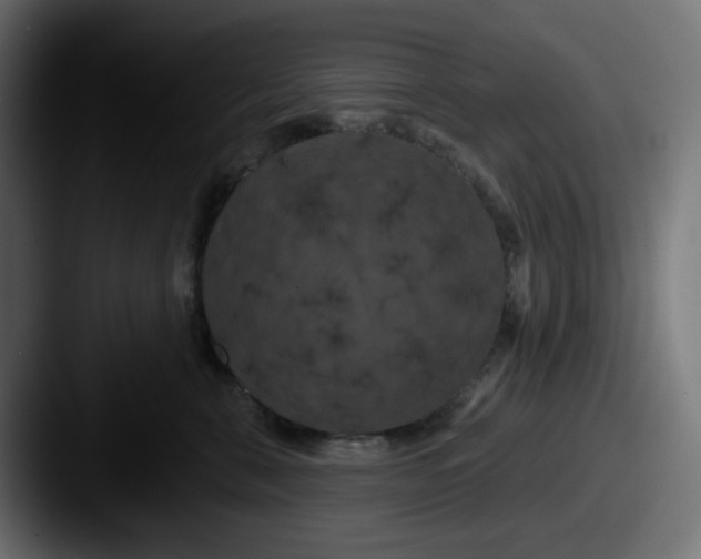 X0000087530571200705181033