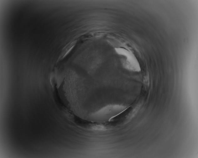 X0000087530572200705181033