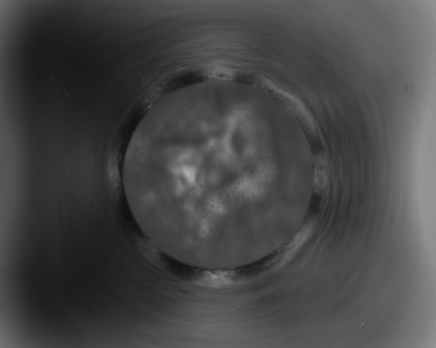 X0000087530573200705181033