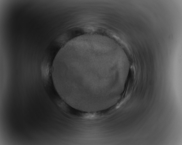 X0000087530574200705181033