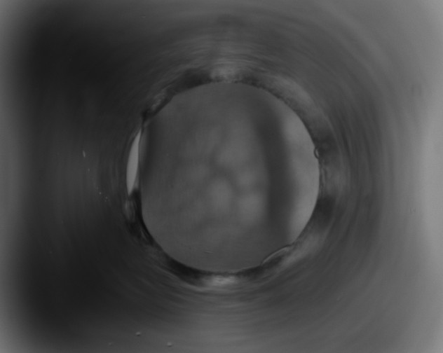 X0000087530575200705181033
