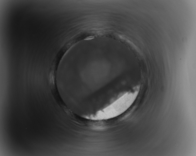 X0000087530576200705181033