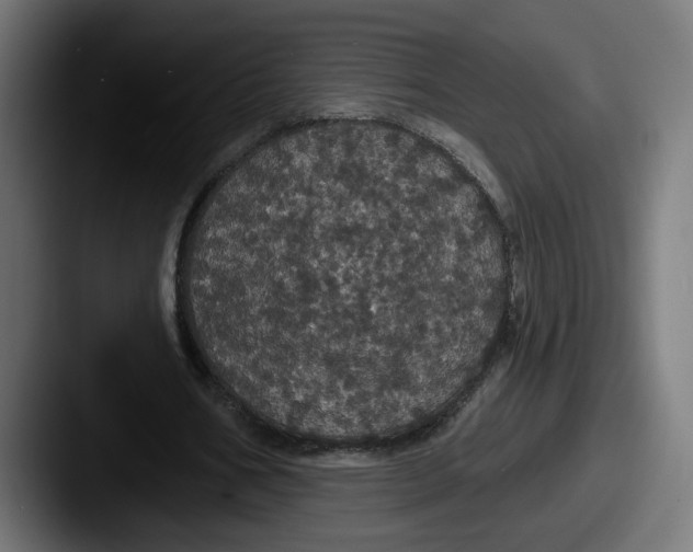 X0000087530578200705181032