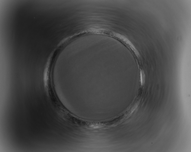 X0000087530579200705181032