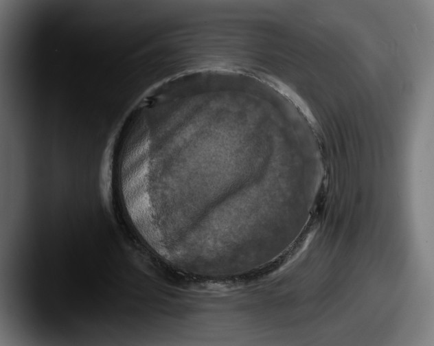 X0000087530580200705181032