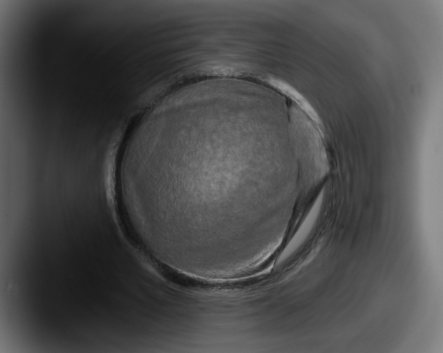 X0000087530581200705181032