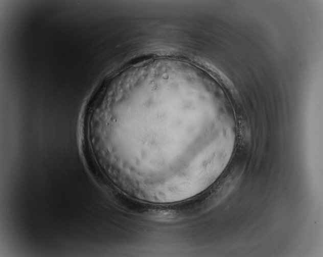 X0000087530582200705181032