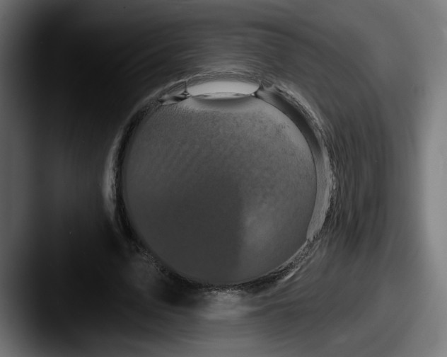 X0000087530583200705181032