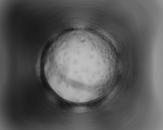 X0000087530586200705181032