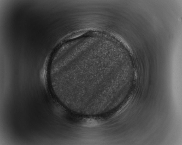 X0000087530588200705181032