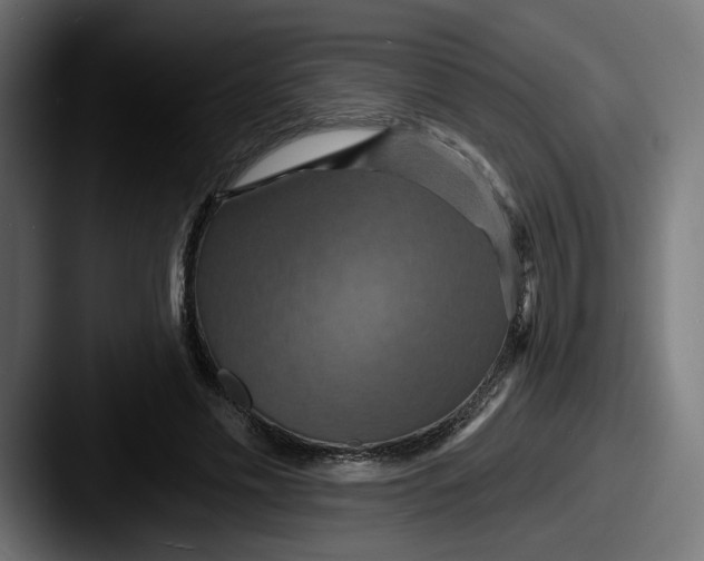 X0000087530589200705181032