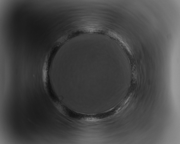 X0000087530590200705181032