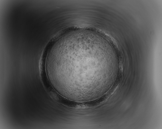 X0000087530591200705181032
