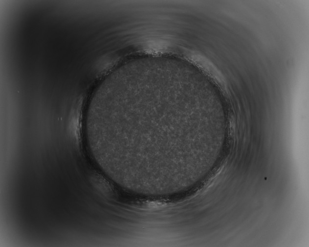 X0000087530592200705181032