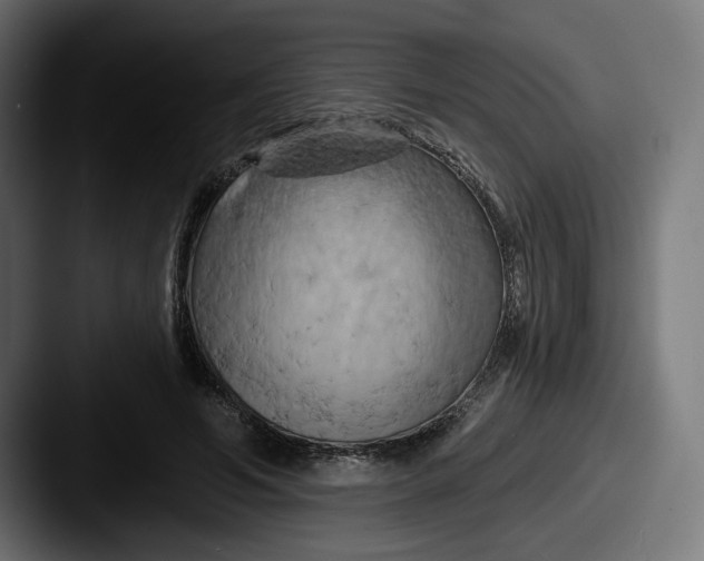 X0000087530594200705181032