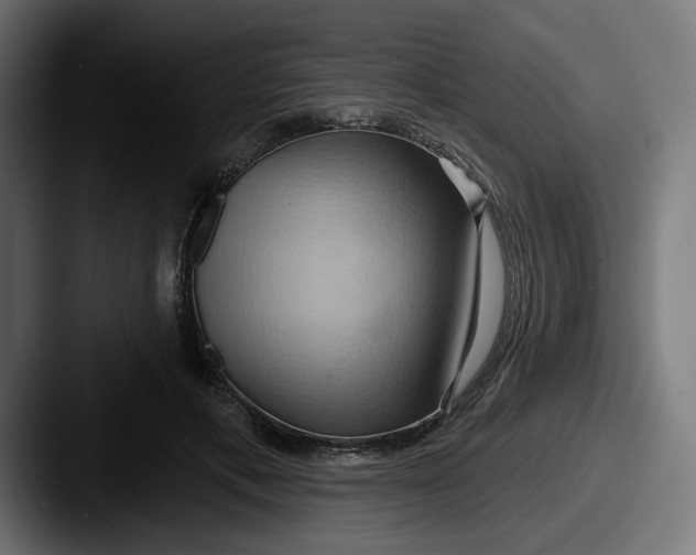 X0000087530597200705181032