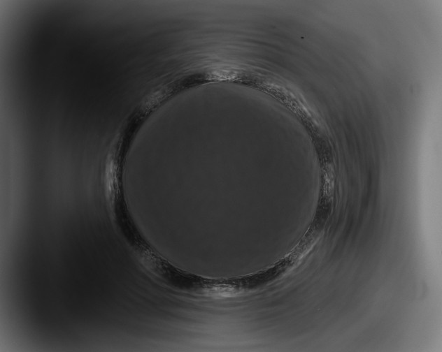 X0000087530598200705181032
