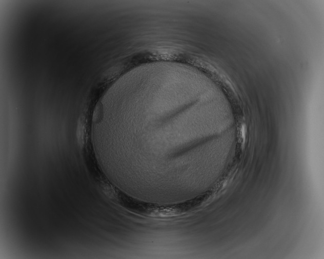 X0000087530599200705181032