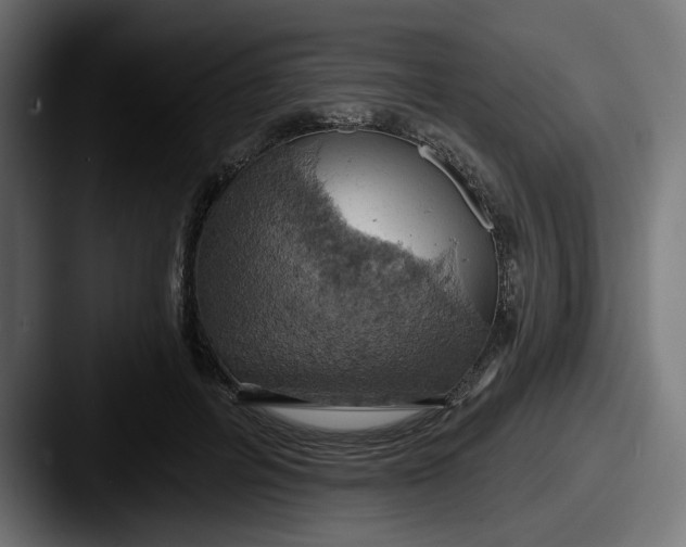 X0000087530600200705181032