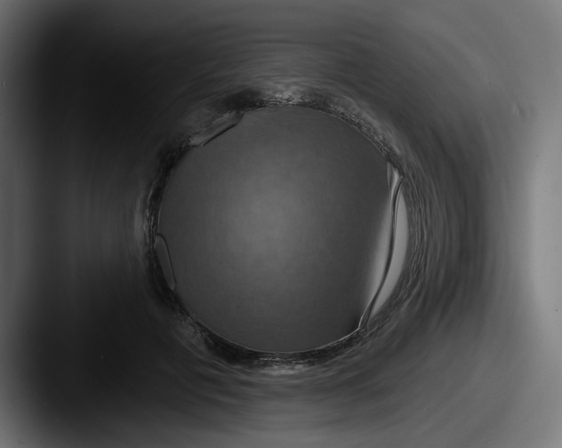 X0000087530601200705181032