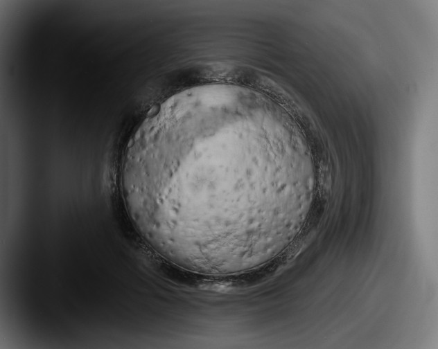 X0000087530602200705181032
