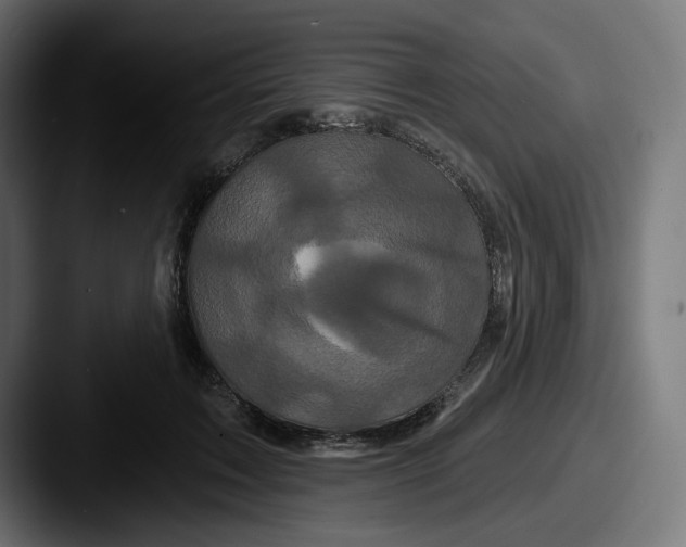 X0000087530603200705181032