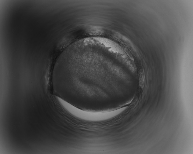 X0000087530604200705181032