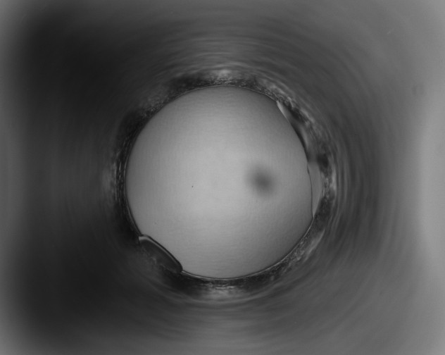 X0000087530605200705181032
