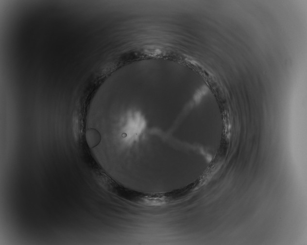 X0000087530606200705181032