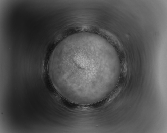 X0000087530607200705181032