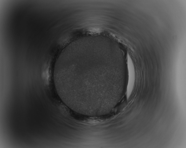 X0000087530608200705181032