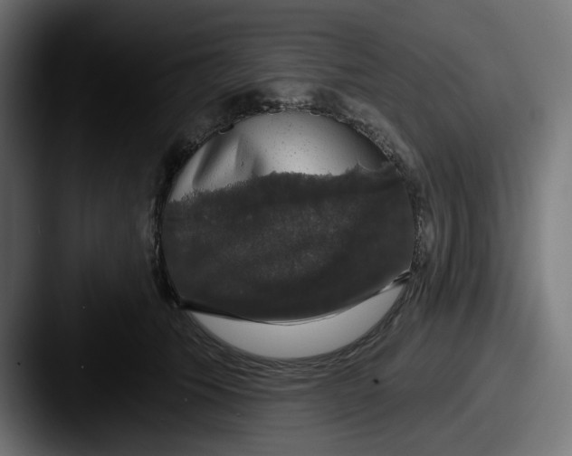X0000087530609200705181032