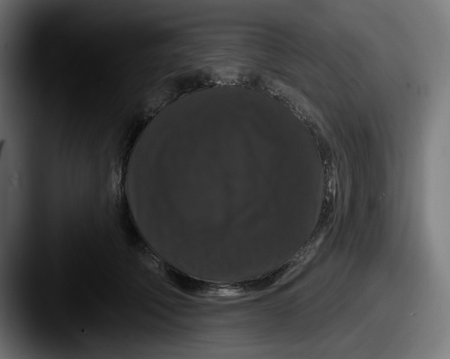 X0000087530610200705181032