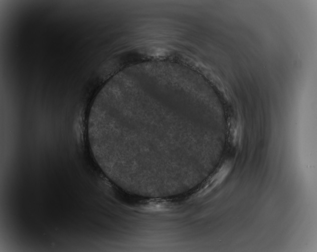 X0000087530612200705181032