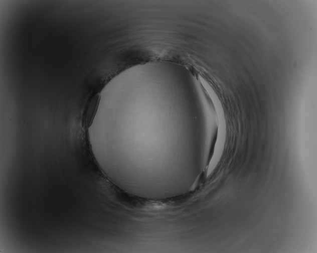X0000087530613200705181032