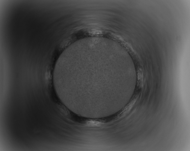 X0000087530614200705181032