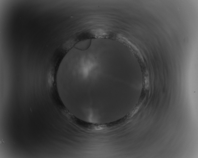 X0000087530618200705181032