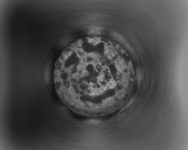 X0000087530619200705181032