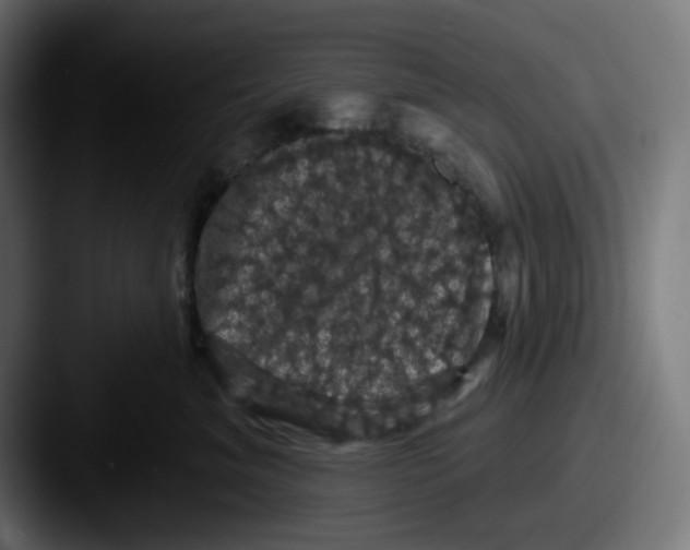 X0000087530620200705181032