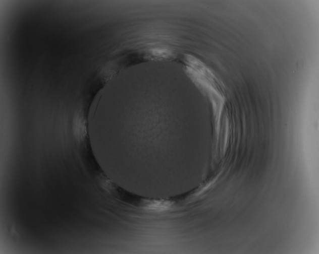 X0000087530621200705181031